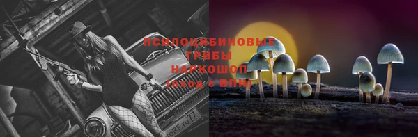 ECSTASY Белоозёрский