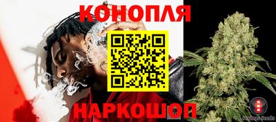 наркотики Гудермес