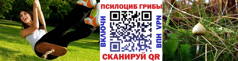 Псилоцибиновые грибы Psilocybe  hydra зеркало  Маркс 
