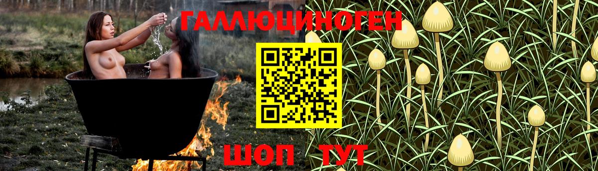 Псилоцибиновые грибы Magic Shrooms Маркс