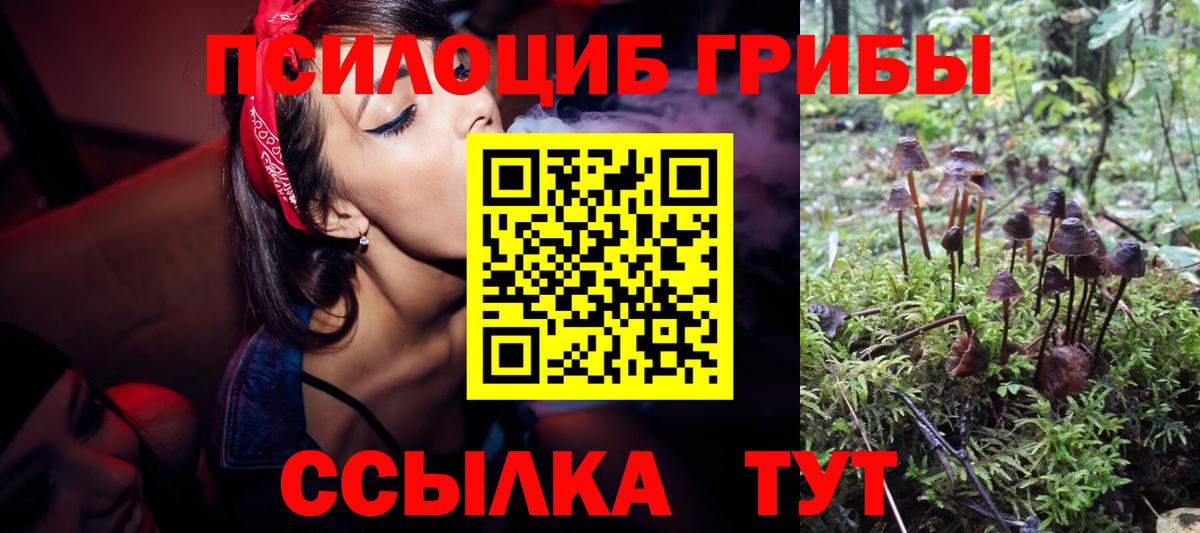 Галлюциногенные грибы Magic Shrooms  Вход с VPN  Маркс 