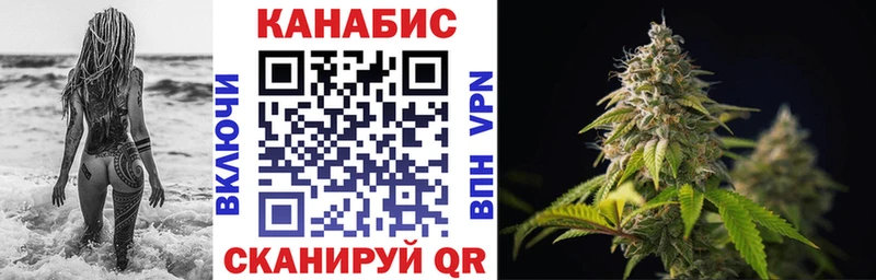 Каннабис планчик  Маркс 